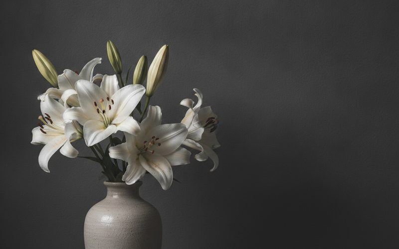 Vita liljor vid begravning - därför är de den klassiska sorgblomman